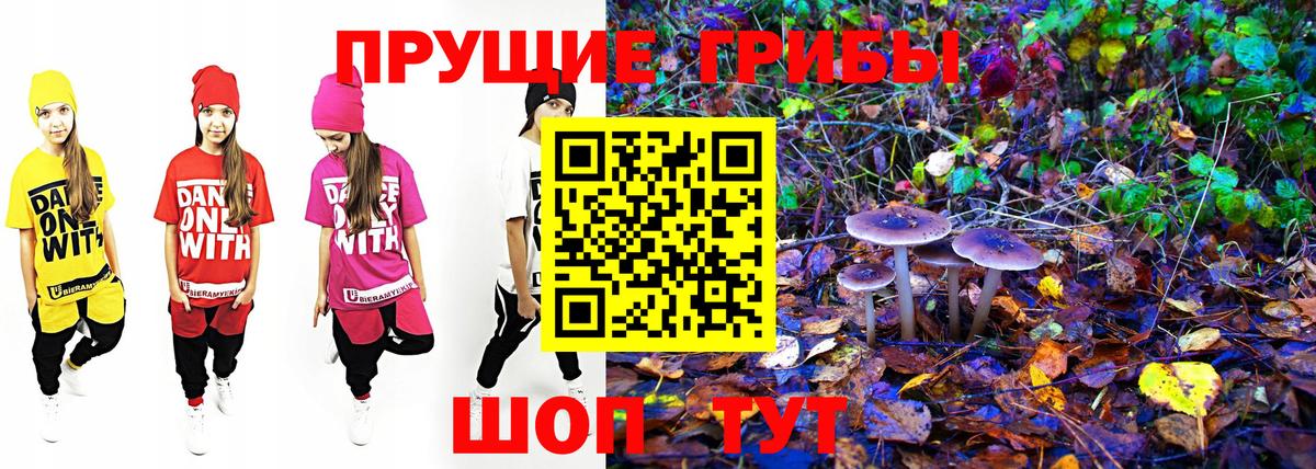 Псилоцибиновые грибы Cubensis Магадан