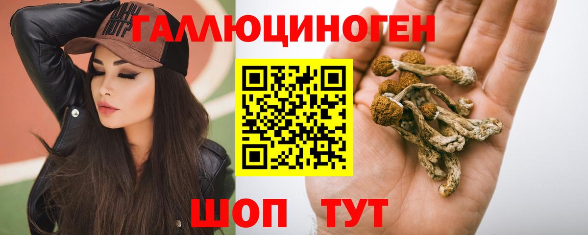 Псилоцибиновые грибы ЛСД  Псилоцибиновые грибы мицелий  Вход с VPN  Магадан 